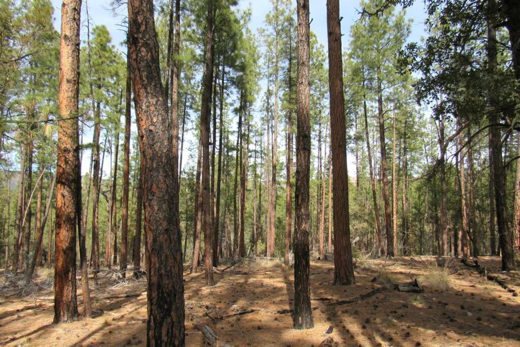 Forest Cabin 7 Seventh Heaven Payson Exterior foto